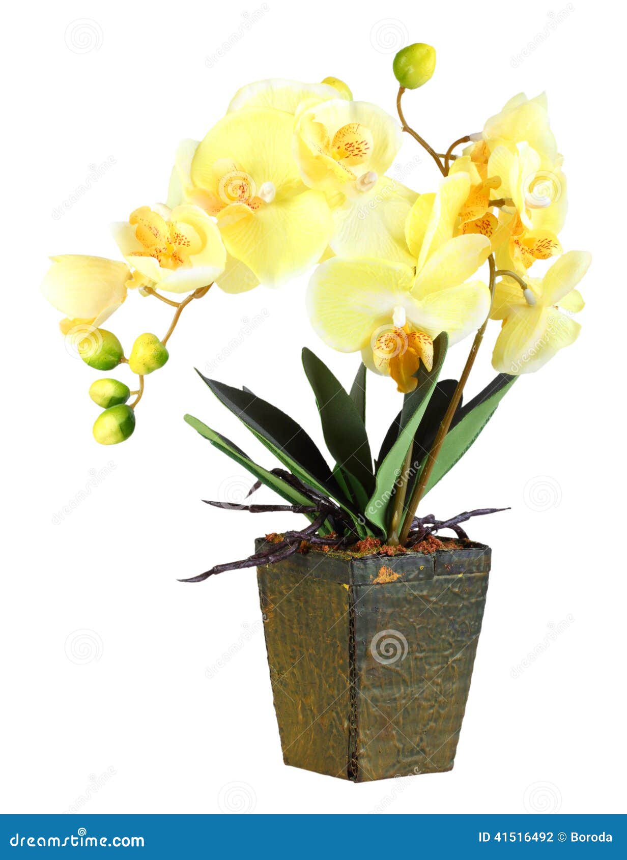 Fiori Di Orchidea Wall Art Stampe Su Tela Farfalle Fiore Giallo Dipinti Su  Tela Immagini A, image size:1232x1690