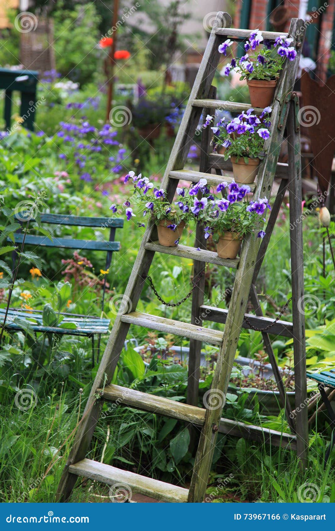 Fiori della pansé decorati su una vecchia scala di legno nel ... Decorazioni decorazione Giardino