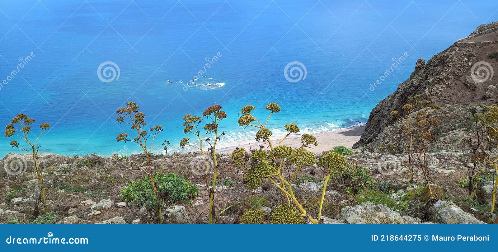 fiori e mare azzurro a lanzarote (isole canarie)