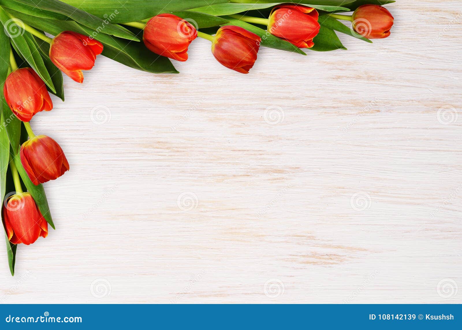 Fiori Rossi Del Tulipano Su Bianco Dipinto Di Legno Immagine Stock Immagine Di Nave Rosso