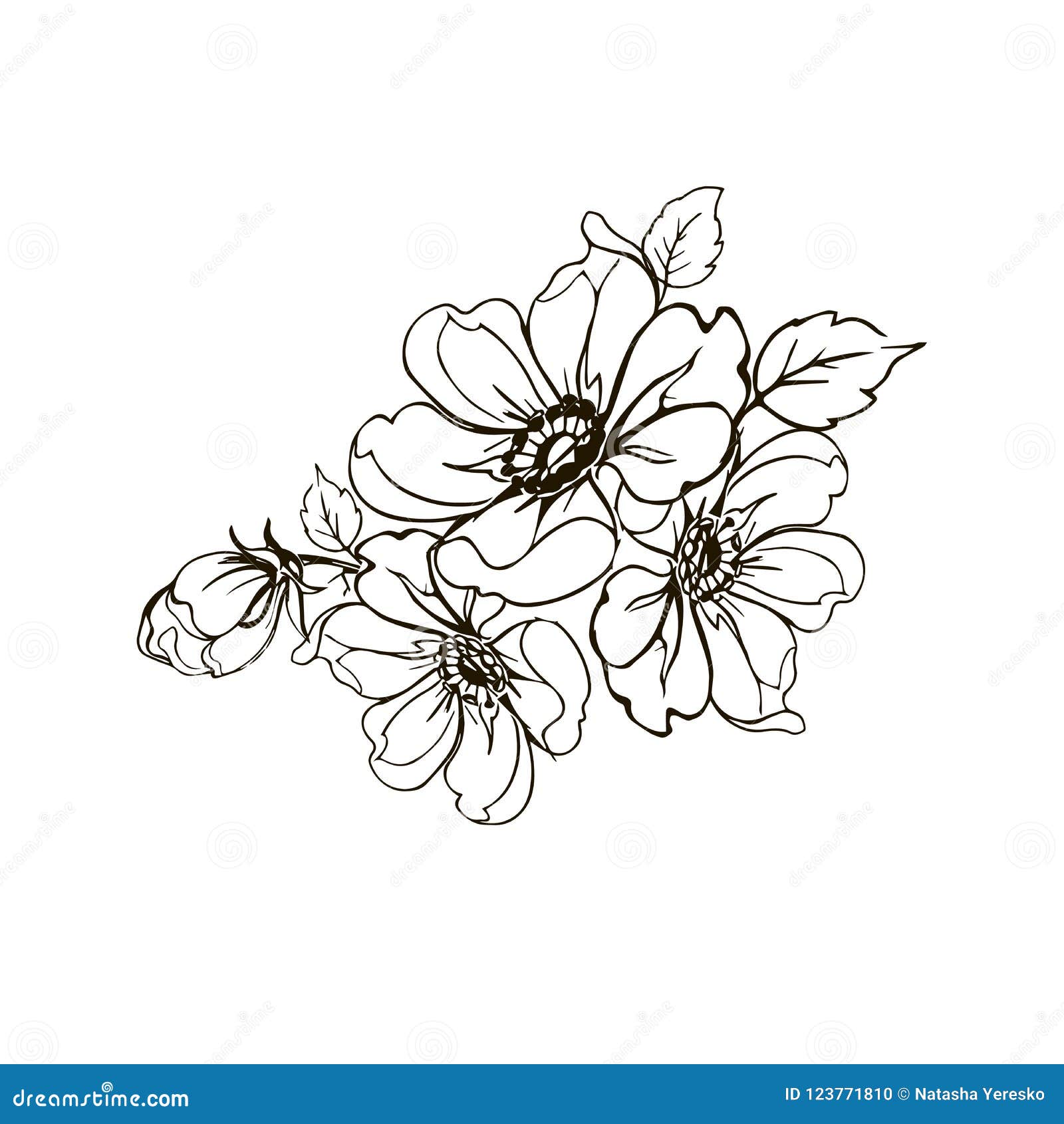 Fiorisce Il Ramo Di Una Rosa Mano Che Disegna Un Ramo Di Una Rosa Elementi D Annata Di Progettazione Illustrazione Vettoriale Illustrazione Di Ornamento Monocromatico