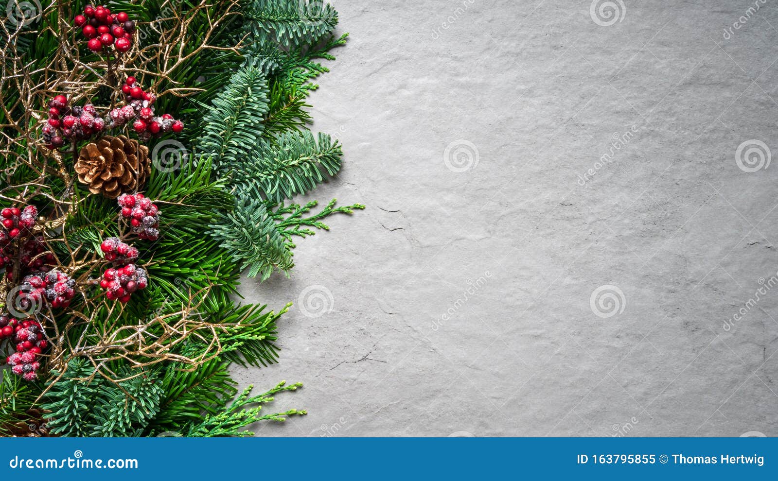 fir ranches with christmas berries on grey stone background