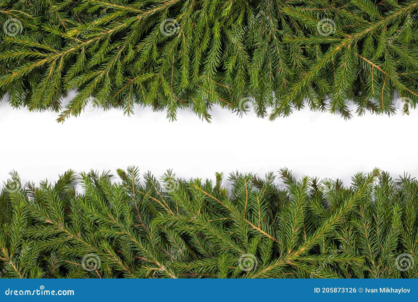 Fir Tree Branch Frame On White Stock Photo - Image of nature