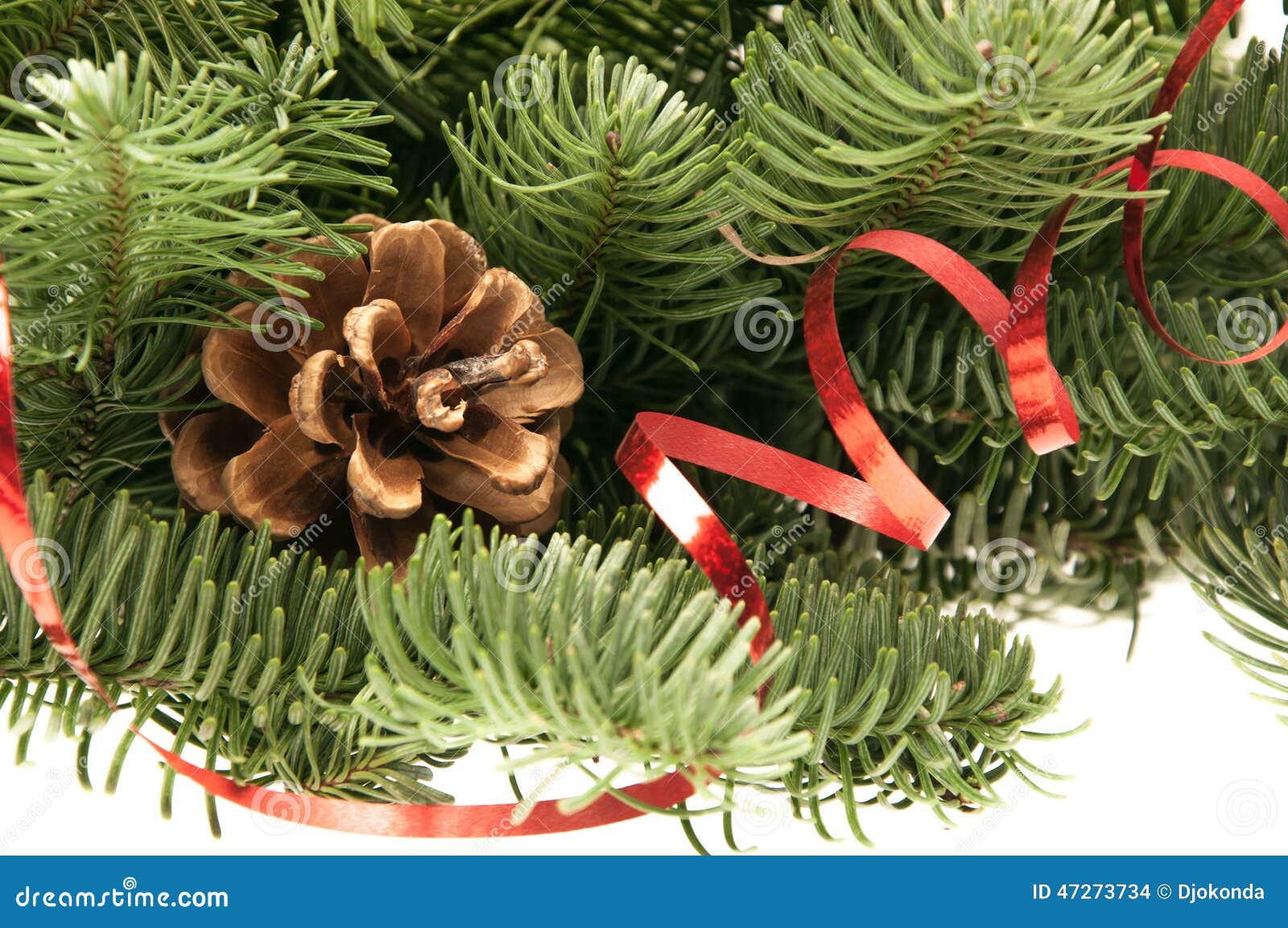 Firtree Twigs with Cones and a Red Ribbon Stock Photo Image of cone