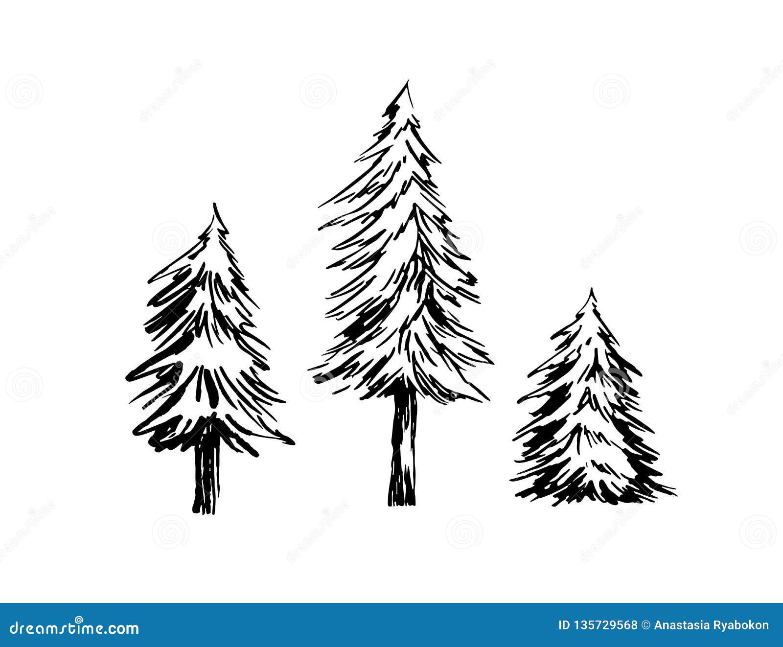 Fir Trees Ink Sketches Set Vector Stock Vector - Illustration of trees