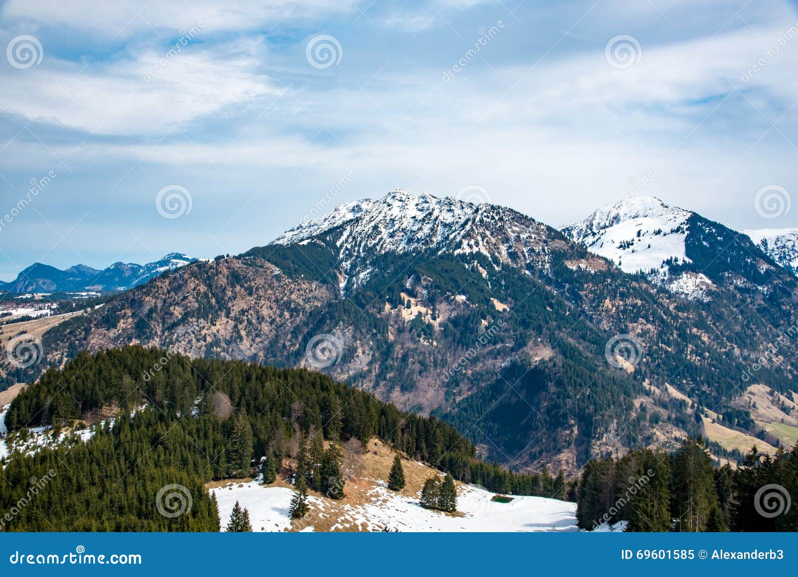 Fir Trees and Mountains in Germany Stock Image Image of evergreen