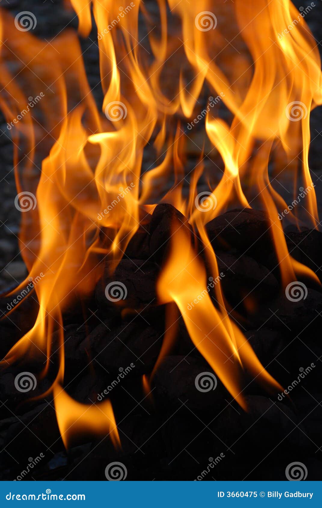 Fire stock image. Image of bonfire, dangerous, destroy 3660475