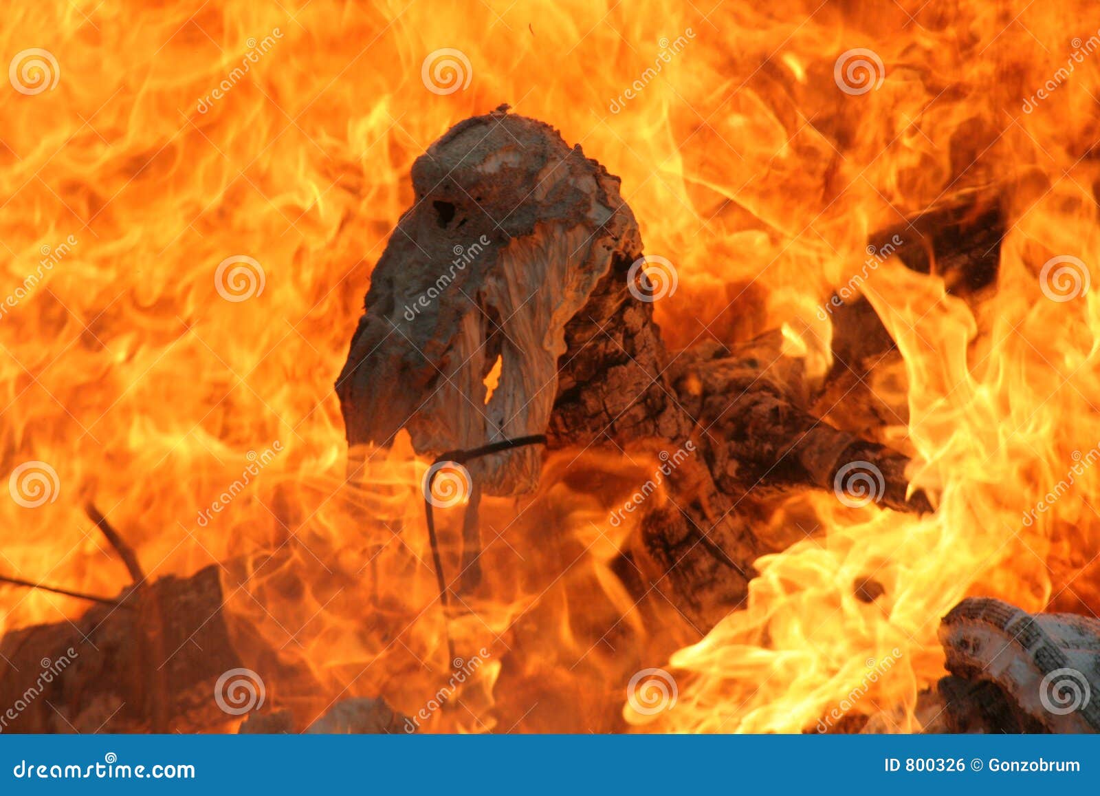 fire