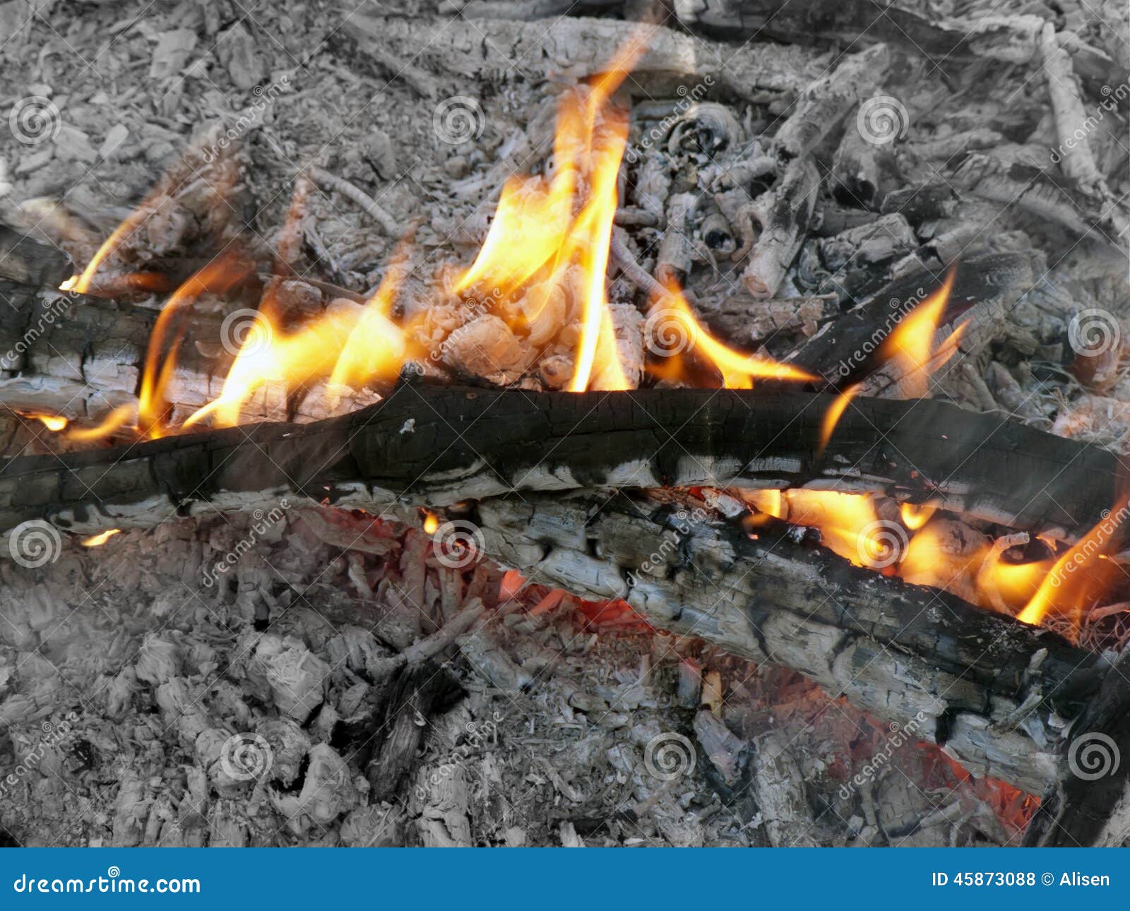 Fire and ashes stock photo. Image of lush, silhouette 45873088