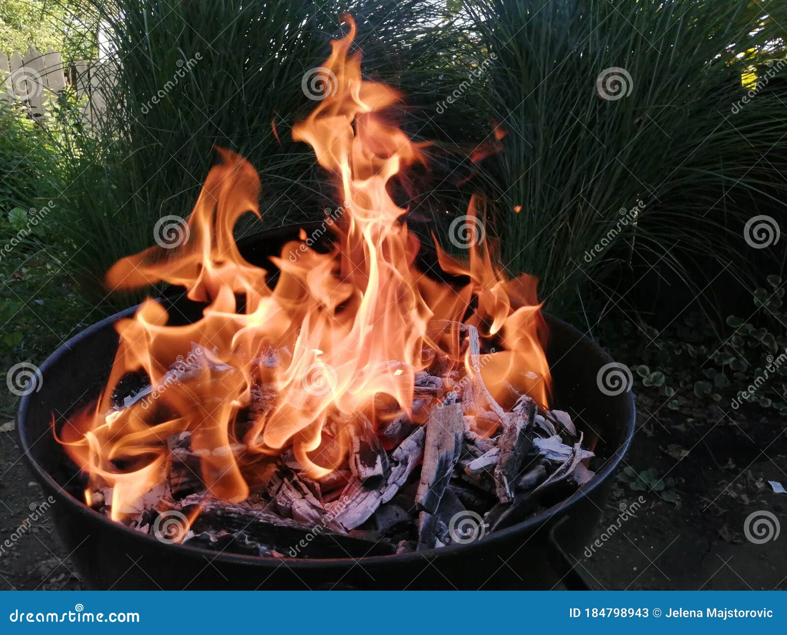 Fire Barbecue grilling stock image. Image of meat, quail - 184798943