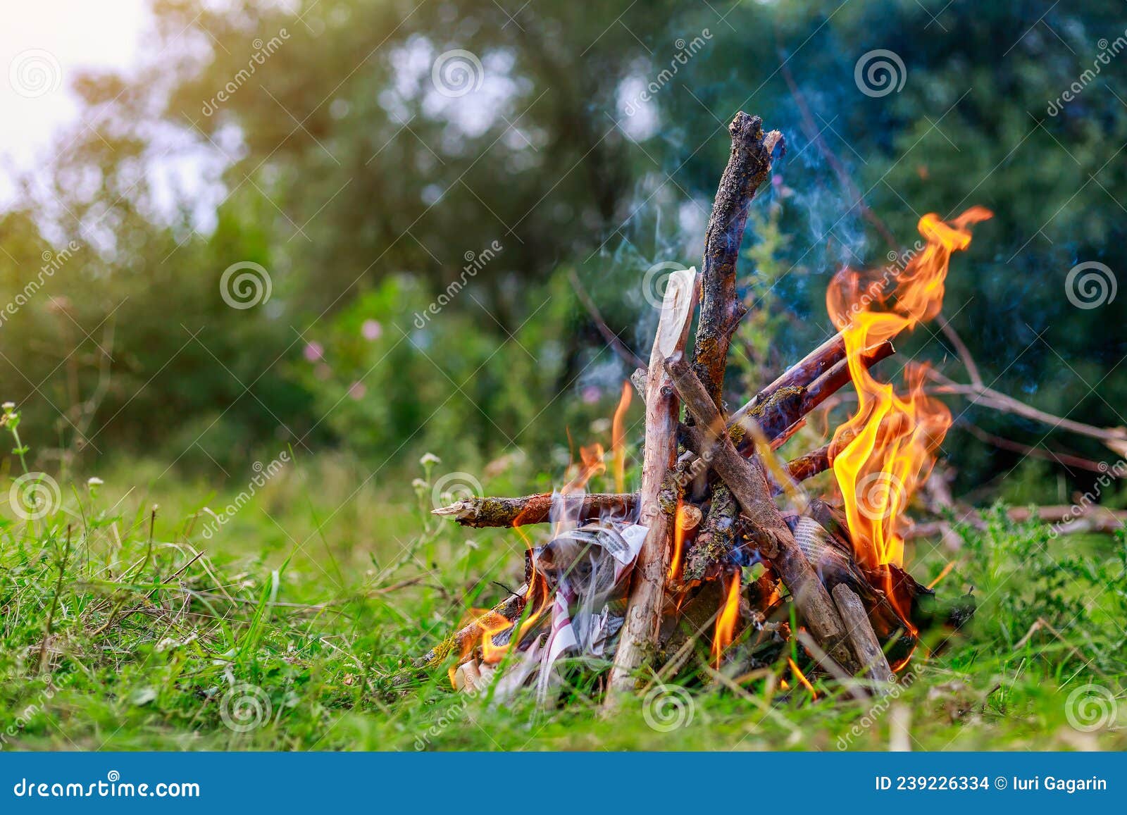 Fire or Bonfire in Nature in a Tourist Camp on a Camping Trip ...