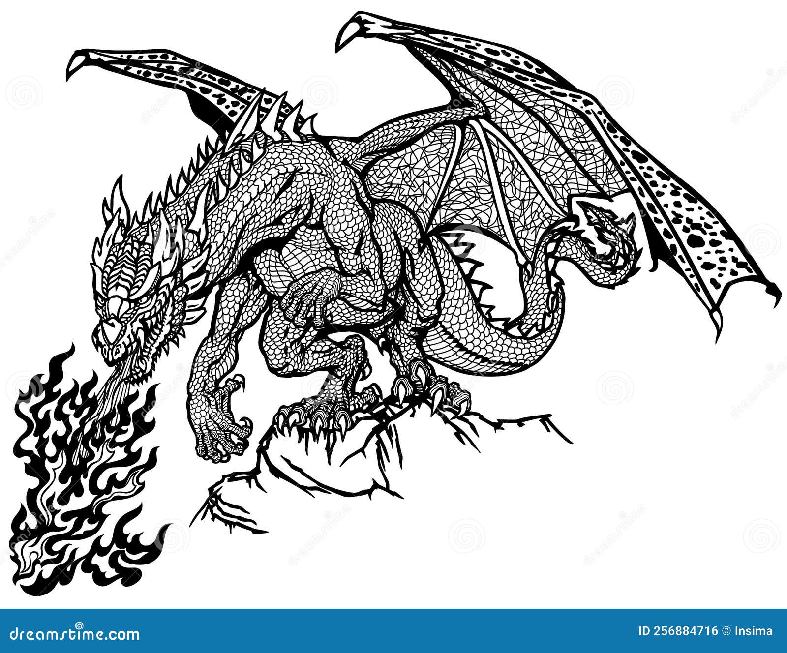 fire-breathing dragon. mythological creature. black and white