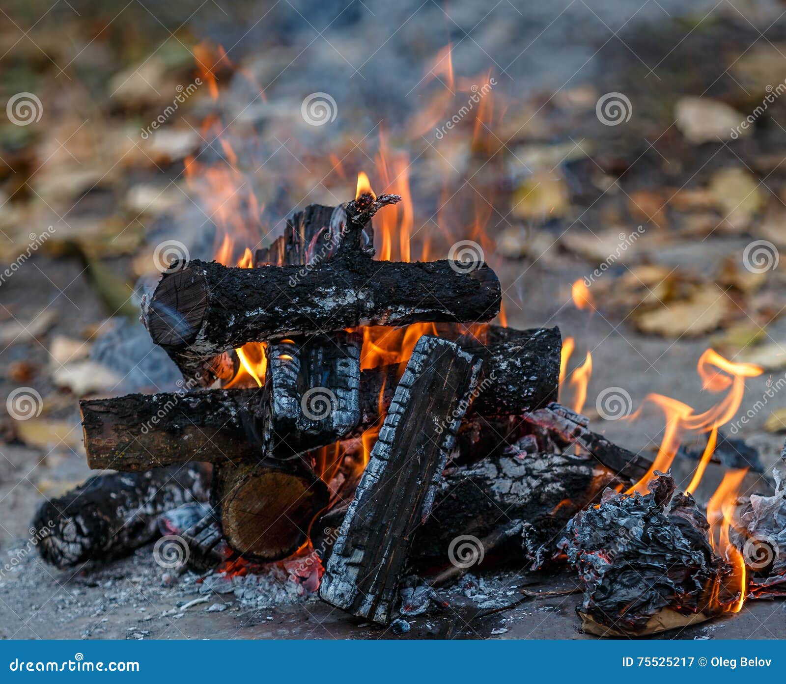 97 Wood Burning Letters Stock Photos, High-Res Pictures, and