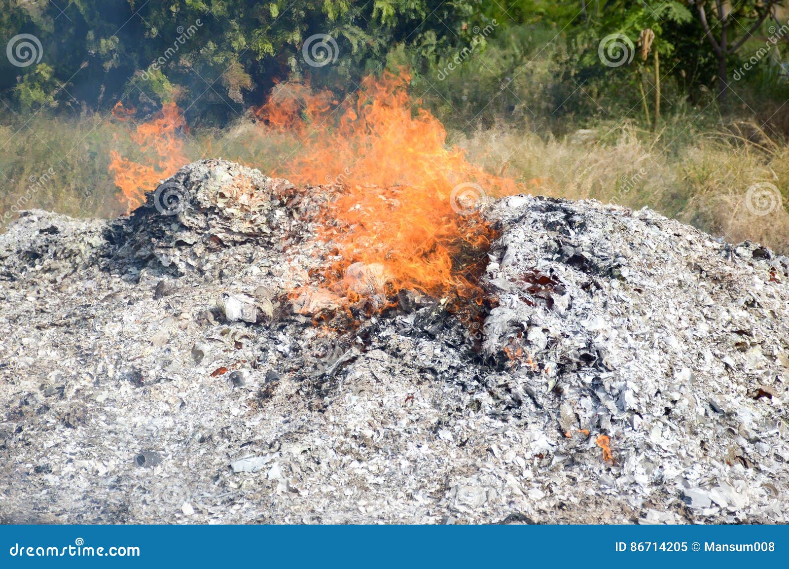 Fire burning ash in garden stock image. Image of smoke 86714205