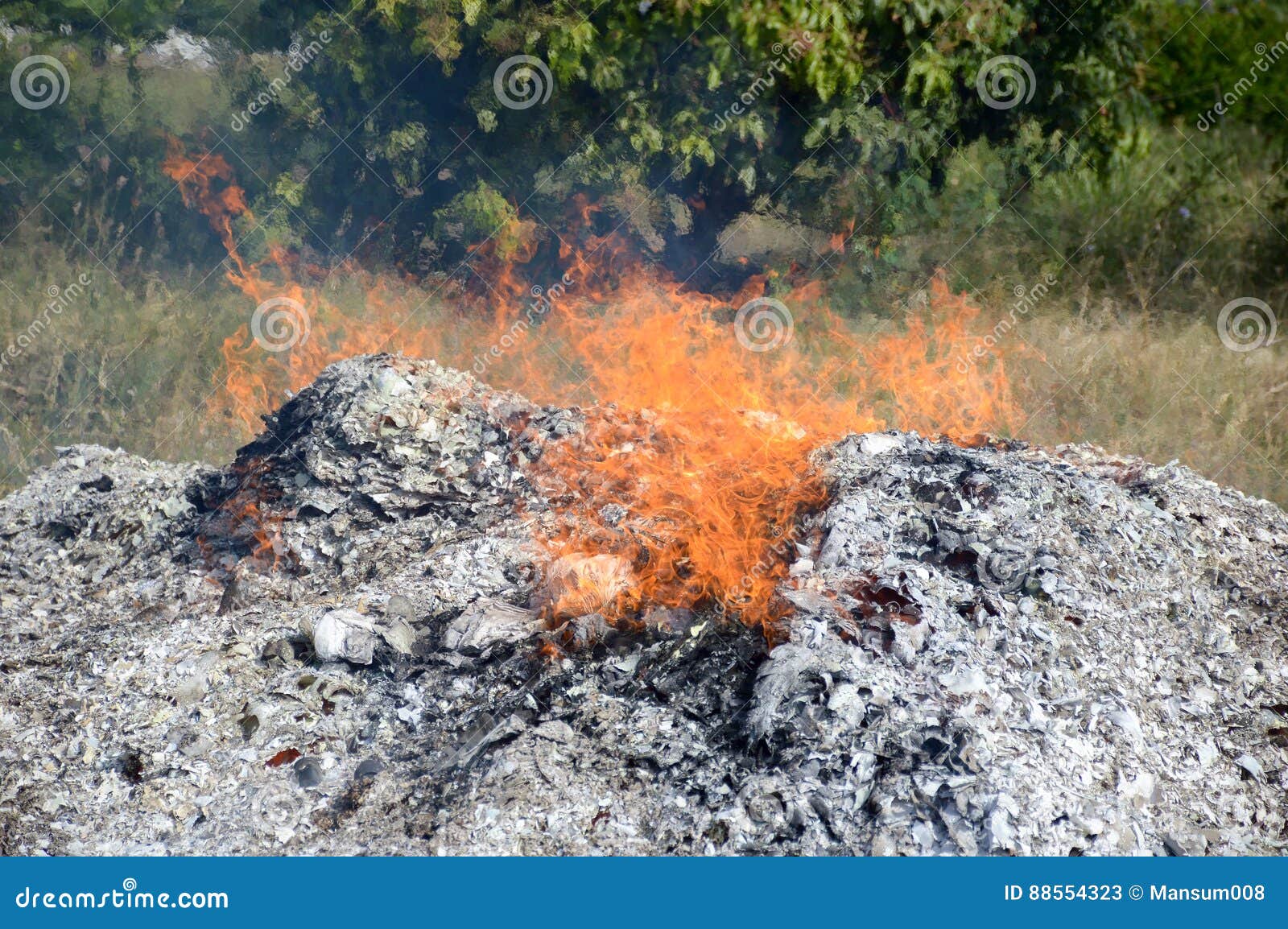 discolor Motley Clancy Fire Burning Ash in Nature Garden Stock Image - Image of dirty, outdoor:  88554323