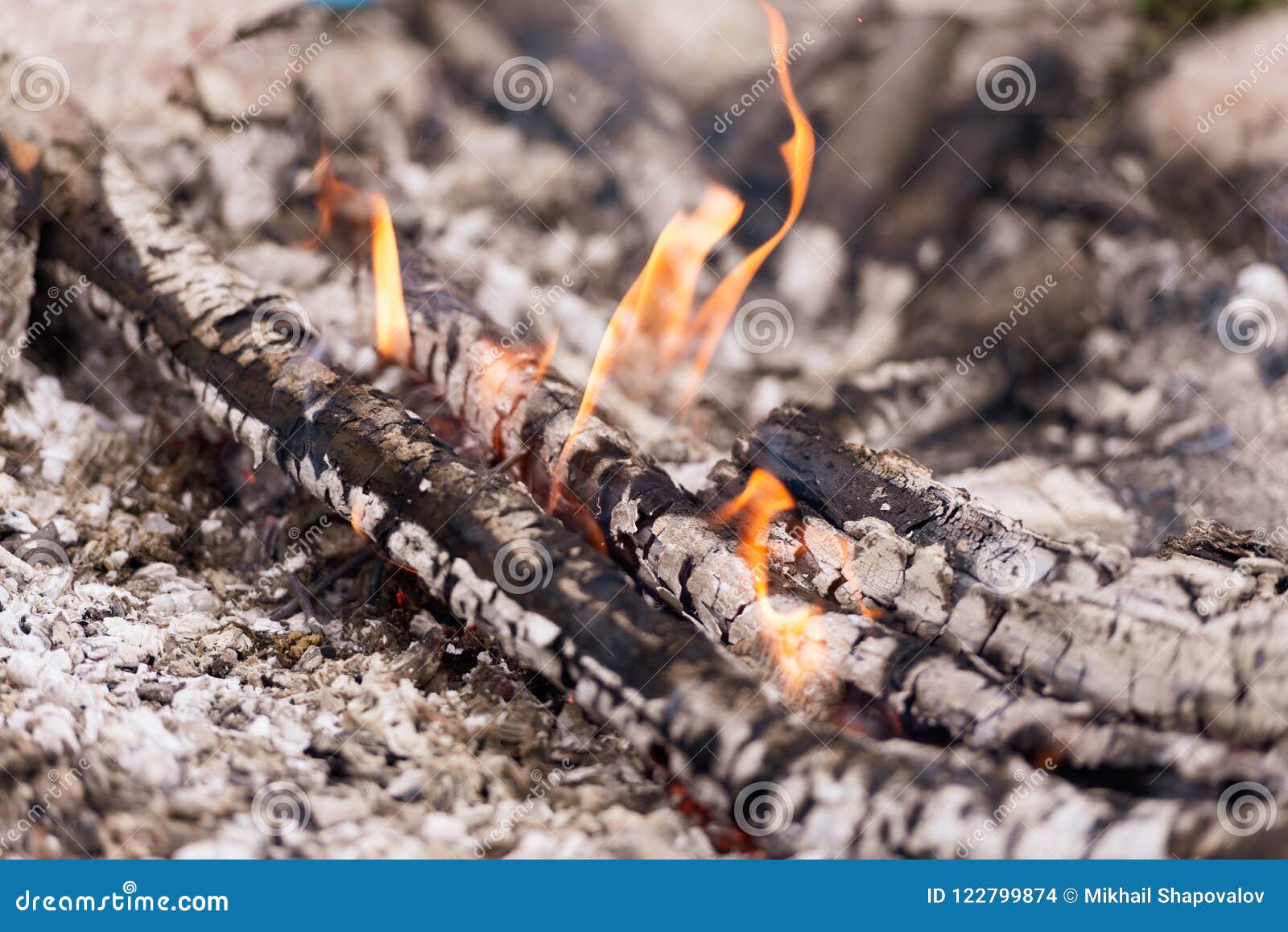 Fire Burning Down in the Early Evening Stock Photo Image of tongue