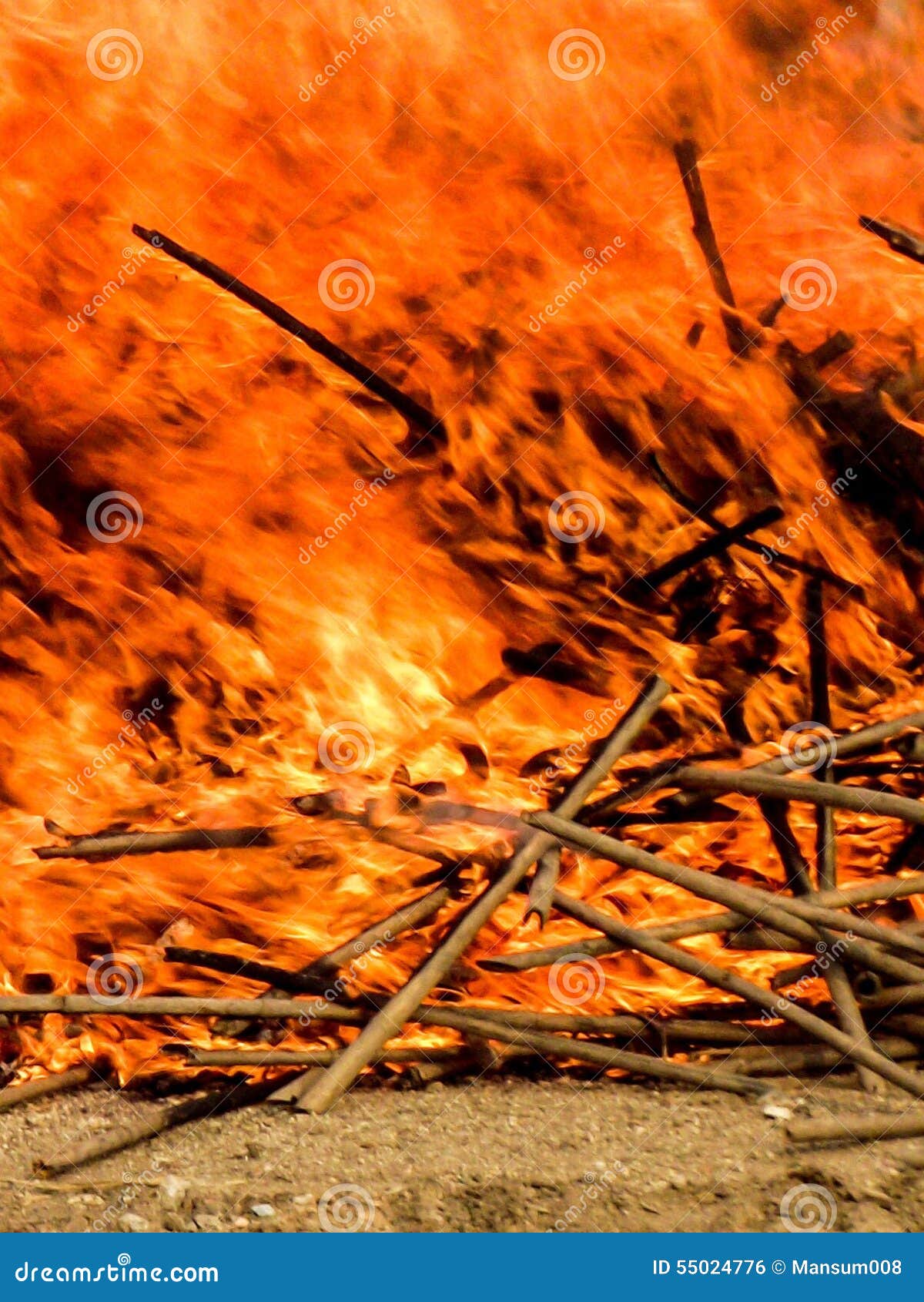 Fire burning stock photo. Image of fire, garden, flame 55024776