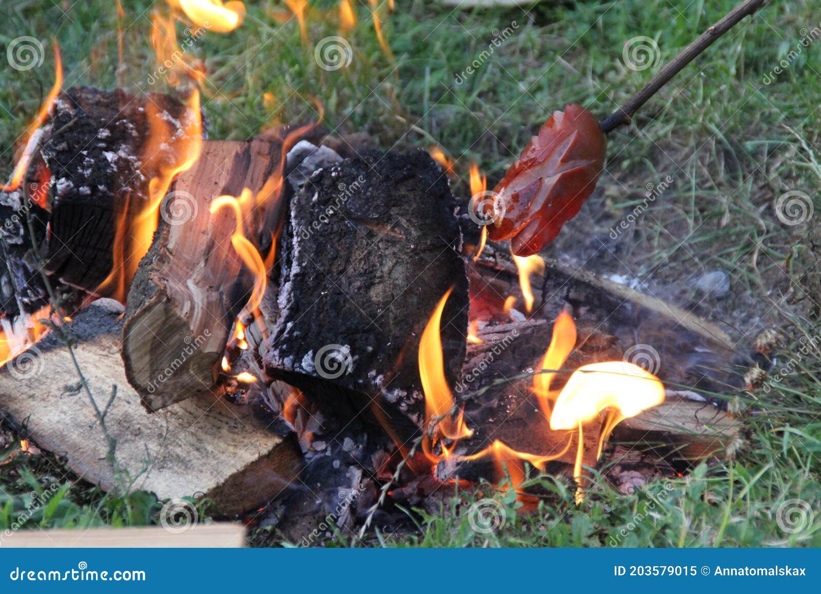 A Fire, Burning Wood and Embers, Charred Wood Stock Image - Image of ...