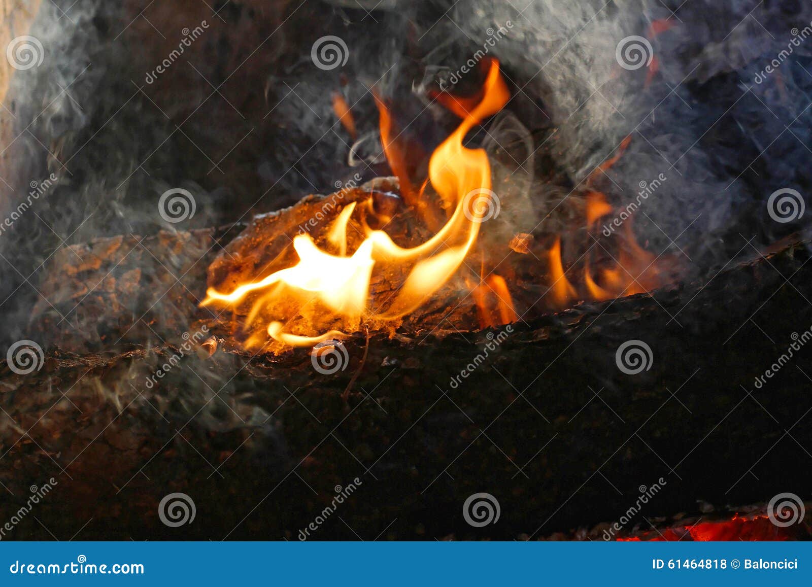 Fire stock photo. Image of burning, wood, combustion 61464818