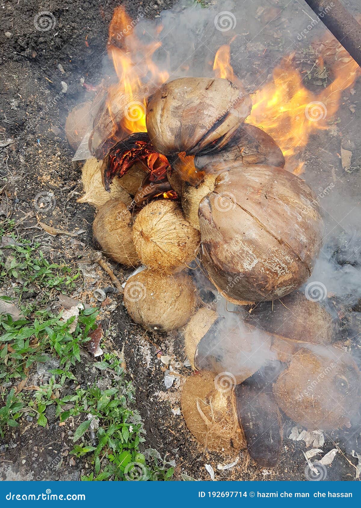 Fire from a Coconut Shell and Fiber Stock Photo Image of seafood