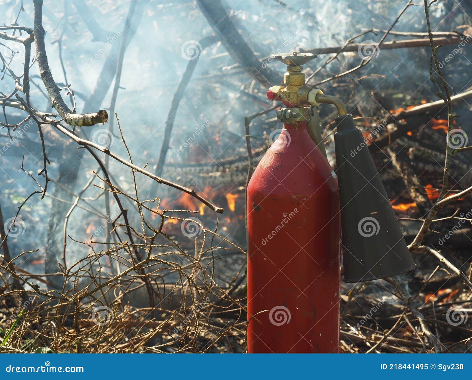 Fire Extinguisher and Forest Fire Stock Image Image of forest