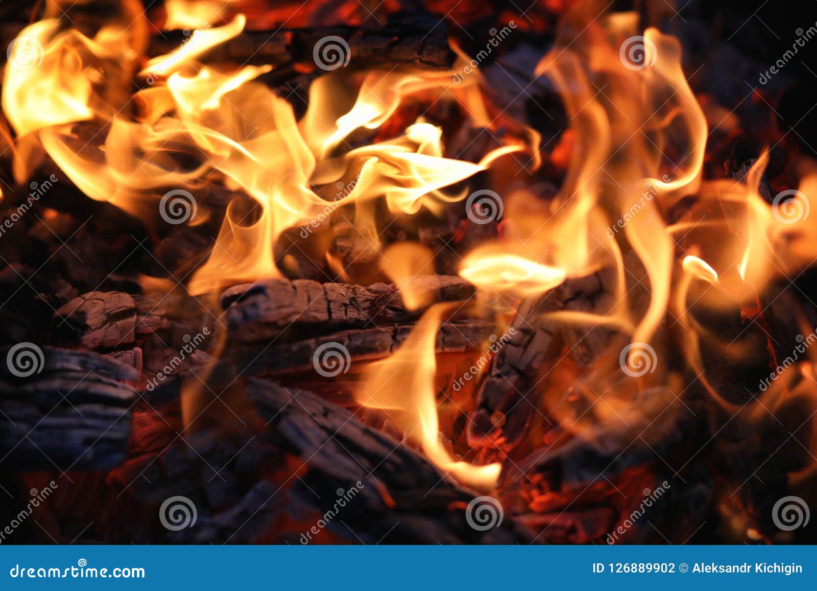Fire flame and coal stock photo. Image of fiery, burn 126889902