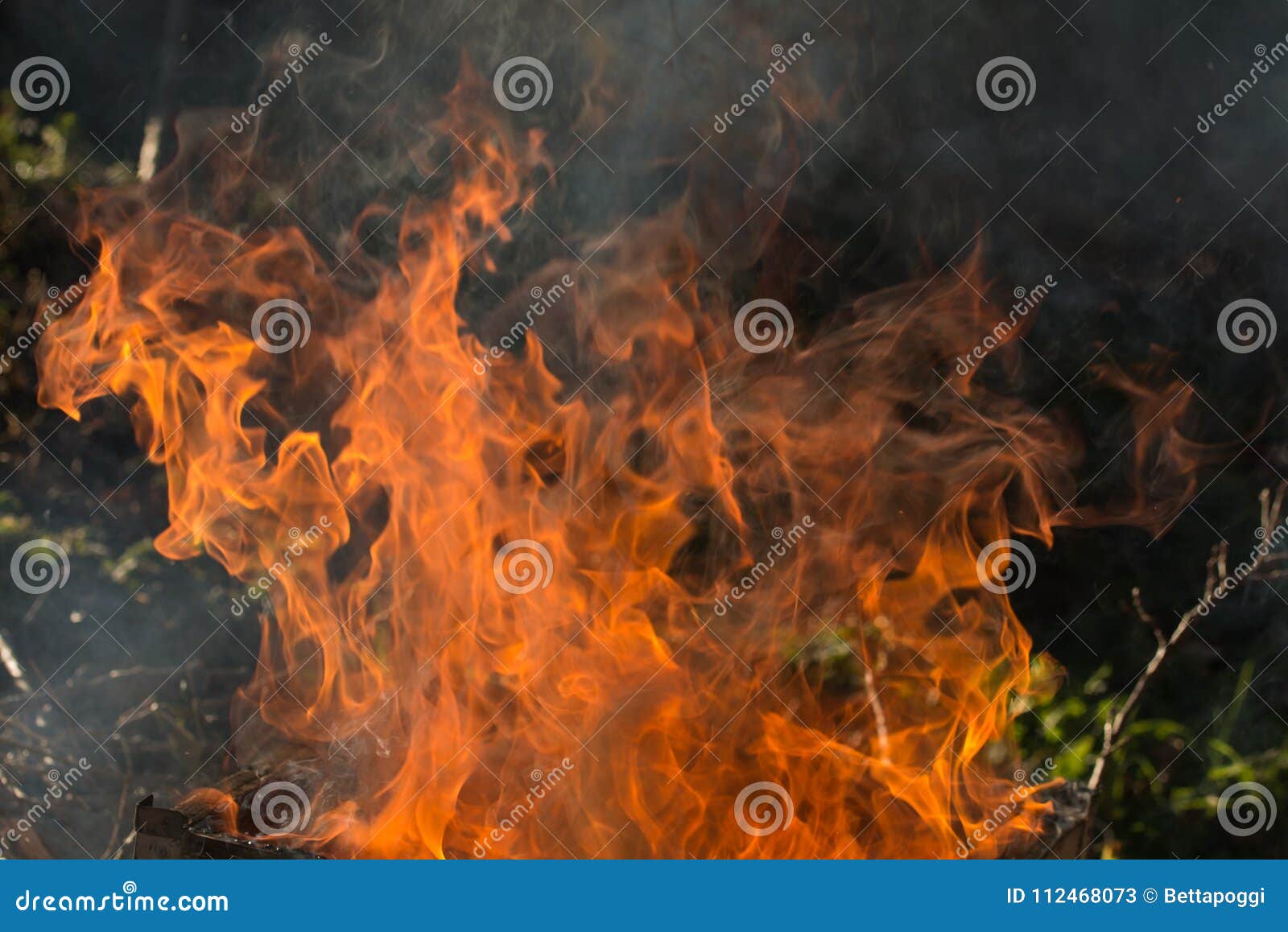 Fire flames background stock image. Image of isolated - 112468073