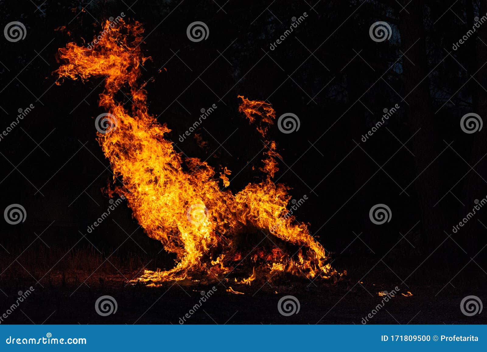 Fire and Flames Became a Dog Stock Photo Image of flames, countryside
