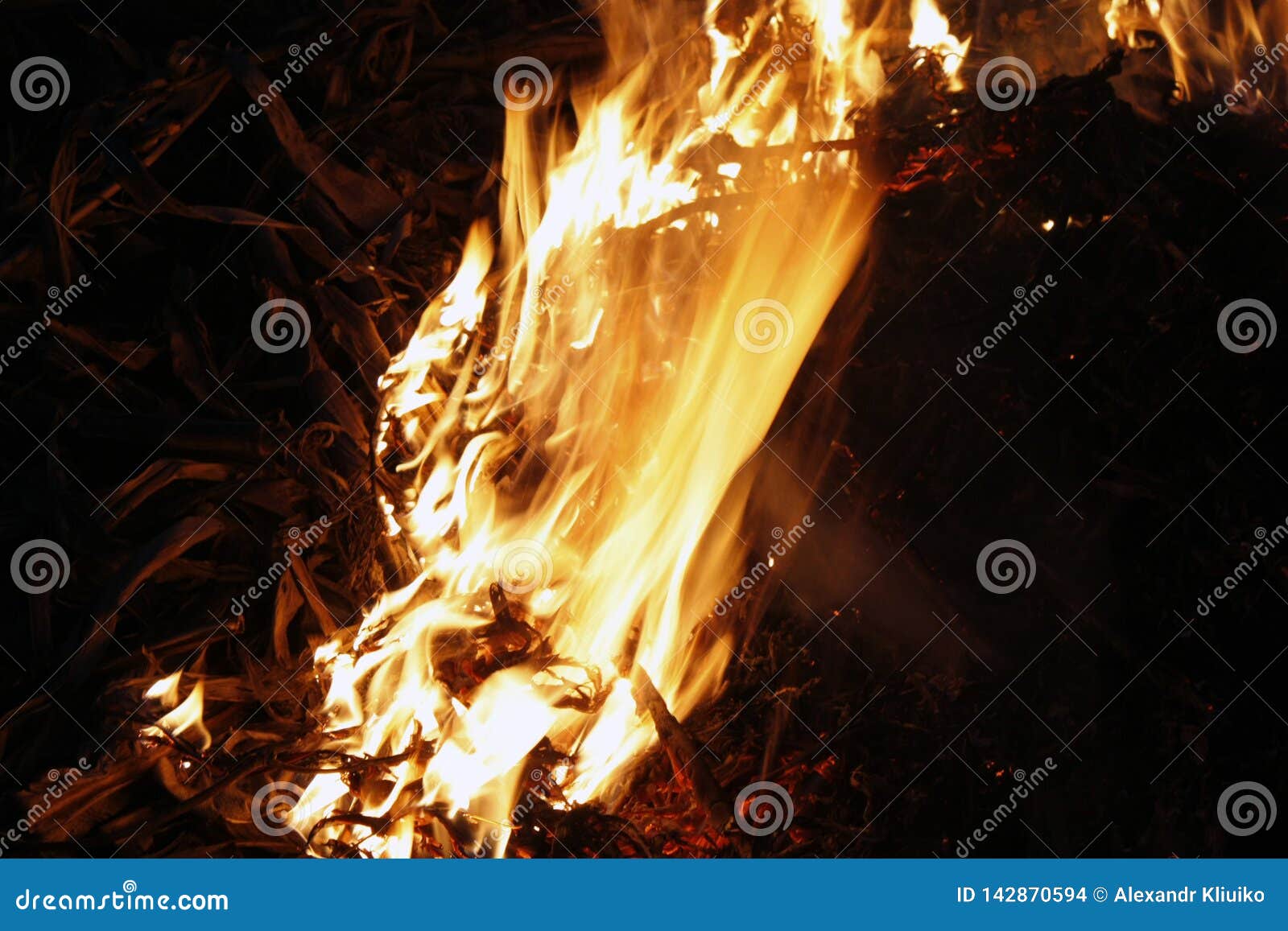 fire, flames on a black background, fire texture