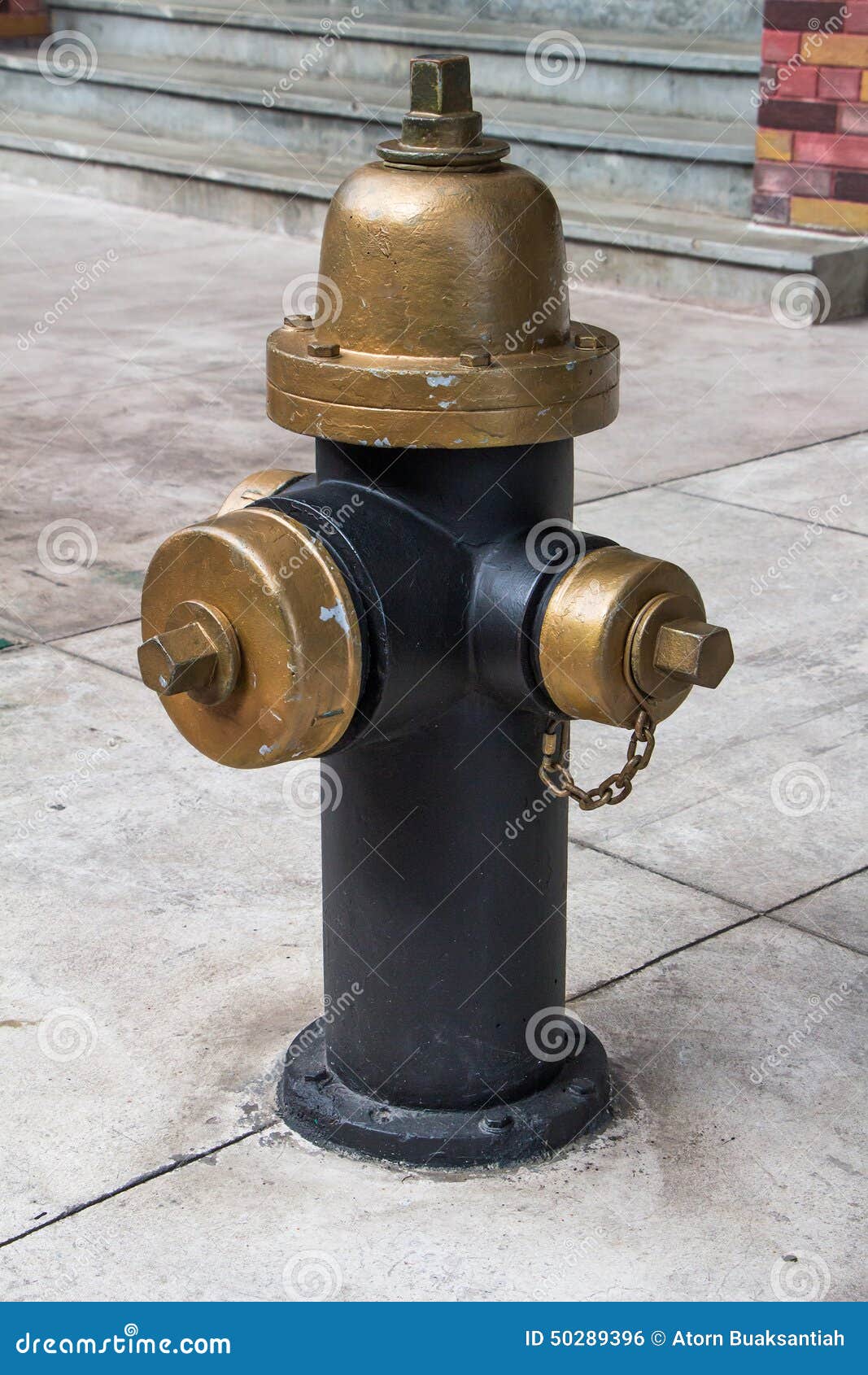 fire hydrant vintage style in newyork