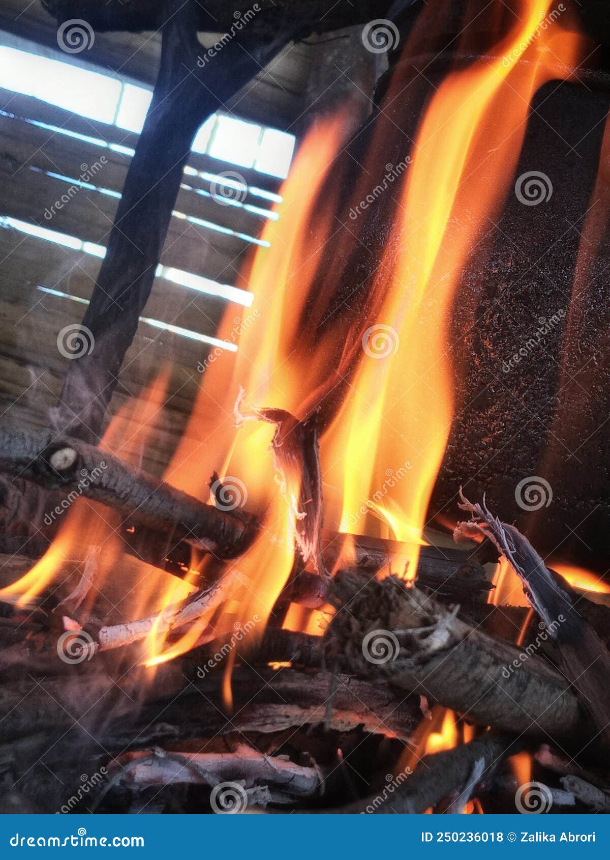 The Fire is Lit by Burning Wood Stock Photo Image of campfire, wood