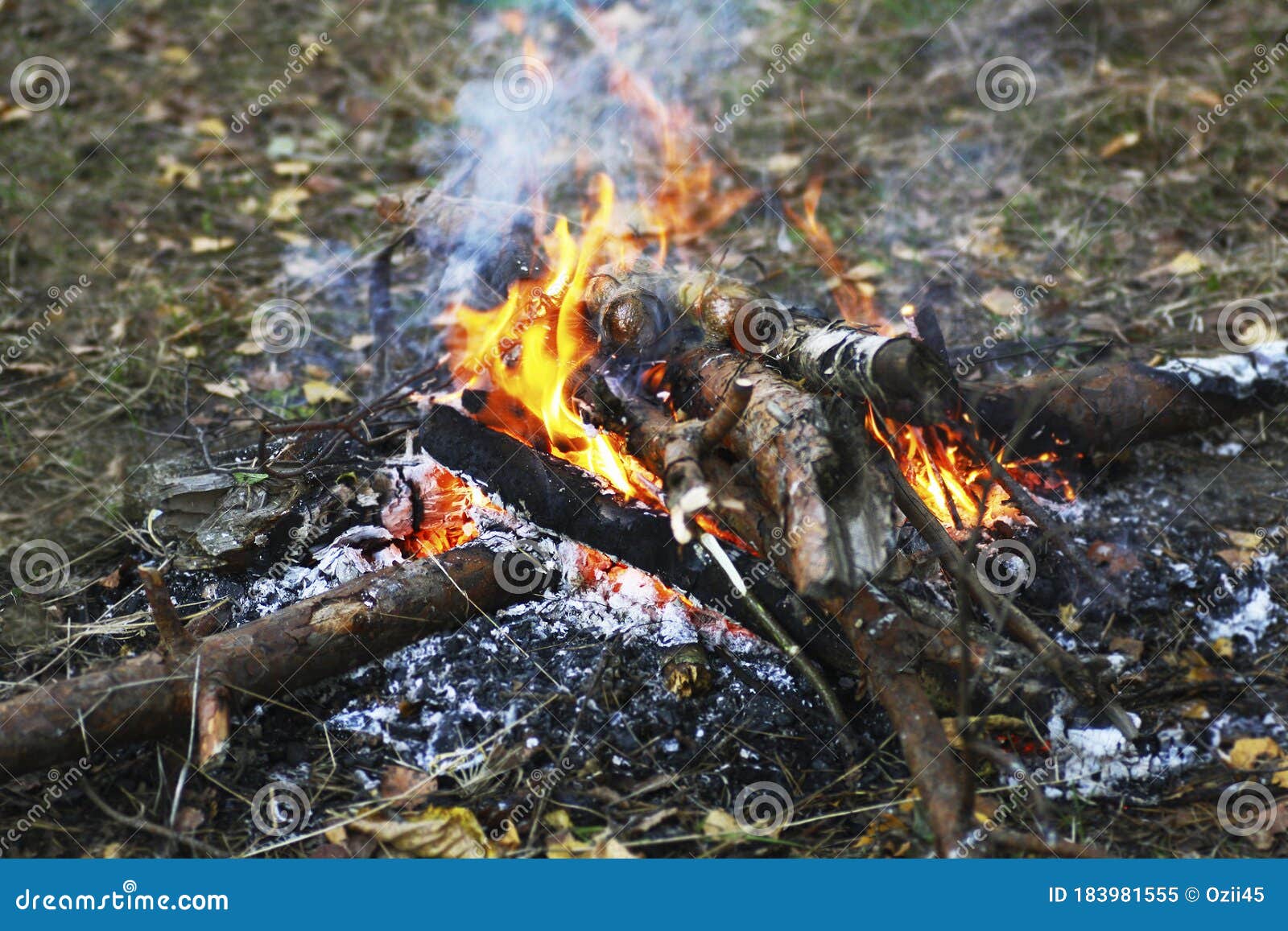 A Fire Made of Branches and Logs Stock Image Image of accident