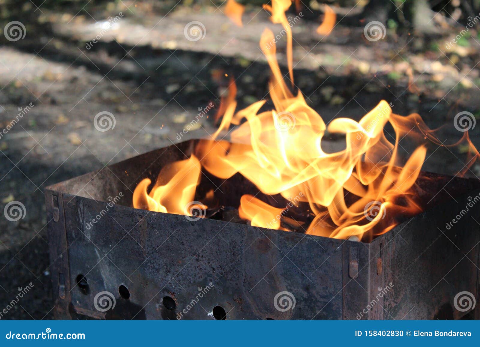 Fire in the Grill in Nature.preparation for Cooking Barbecue. Stock ...