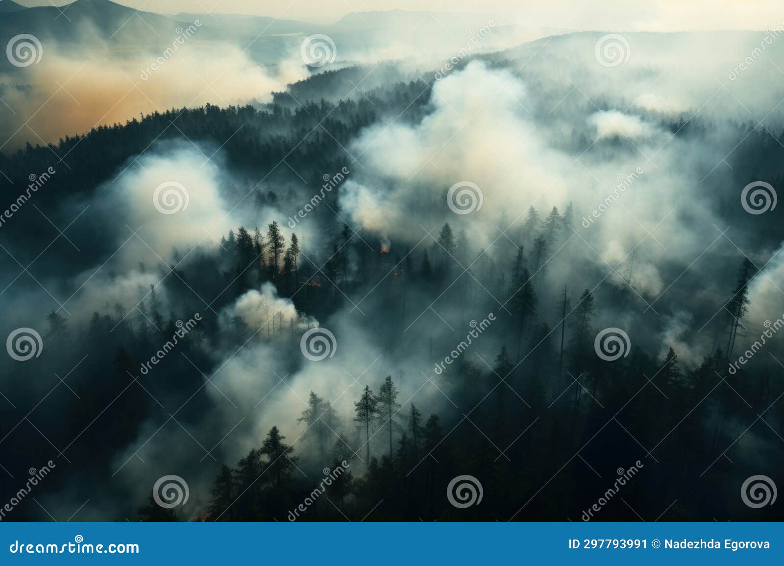 Fire in a Pine Forest, Smoke, Natural Disaster, Arial View Stock