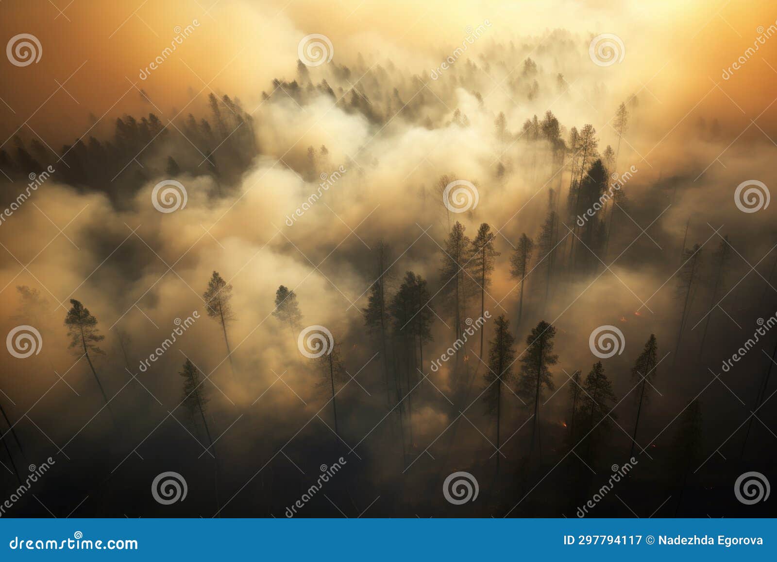 Fire in a Pine Forest, Smoke, Natural Disaster, Arial View Stock