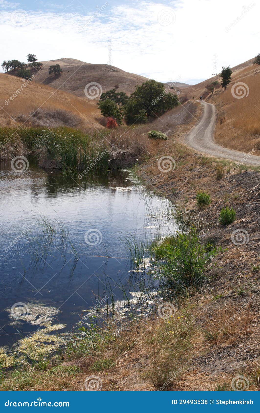 Fire Road Winds Passed a Small Pond Stock Photo Image of park