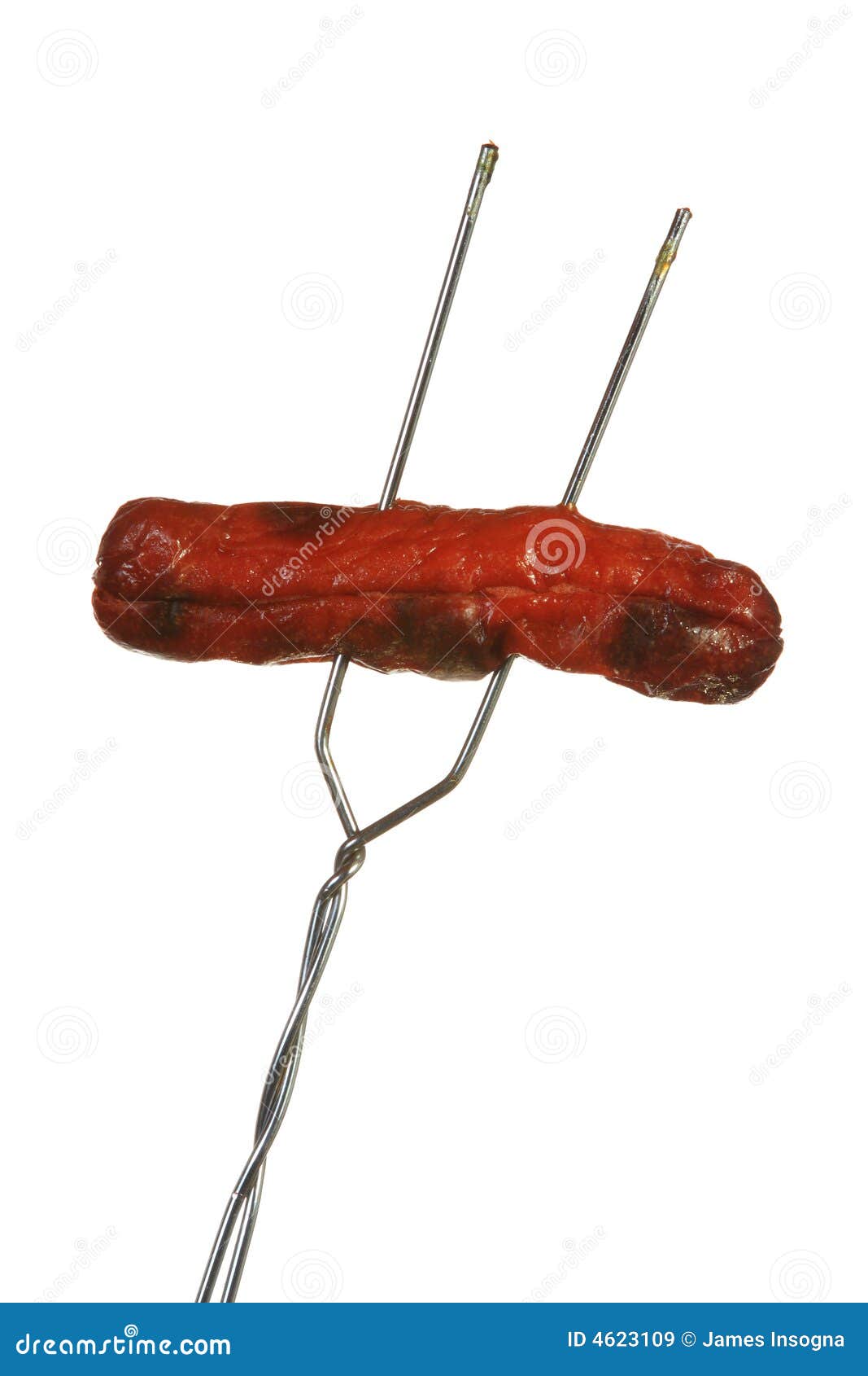 Fire roasted hot dog stock image. Image of vertical, barbeque 4623109