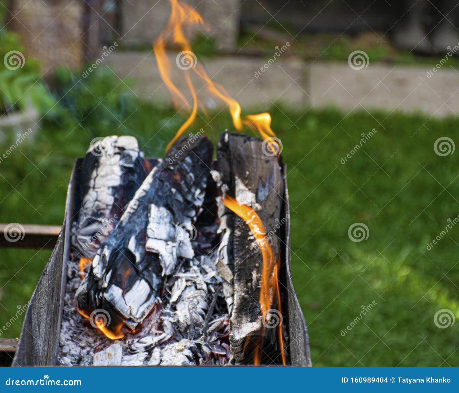 Fire and Smoke. Barbecue Firewood. Grill for Frying Meat. Bonfire on a ...