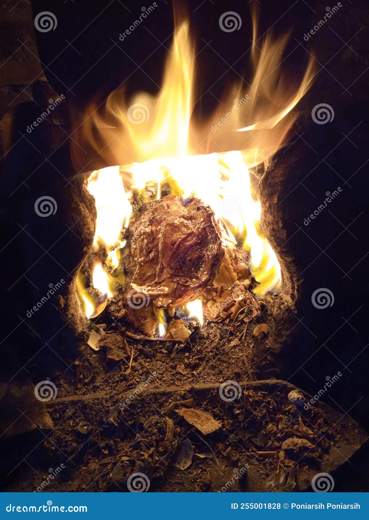 Fire on stove stock photo. Image of stove, night, event 255001828