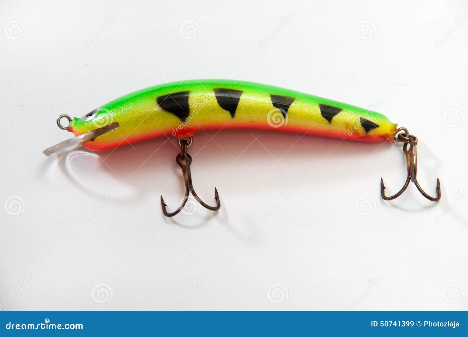 Tiger Minnow Stock Photos - Free & Royalty-Free Stock Photos from Dreamstime
