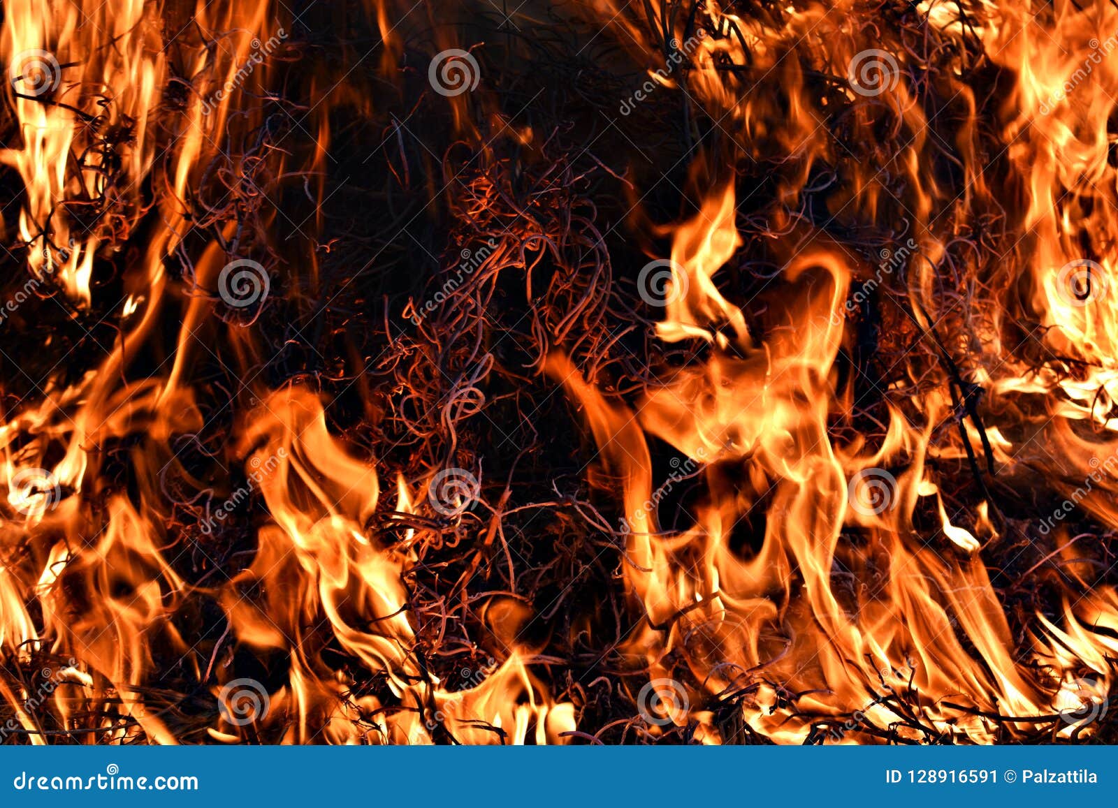 FireWood Campfire Mountain Wallpaper  720x1600