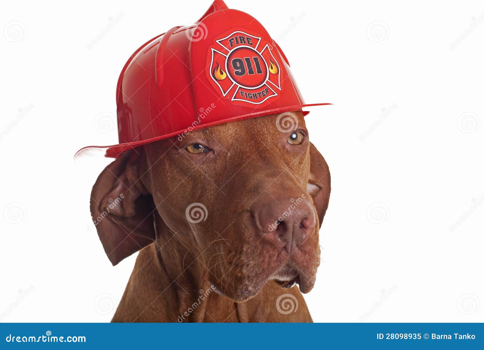 fire man dog fire man dog