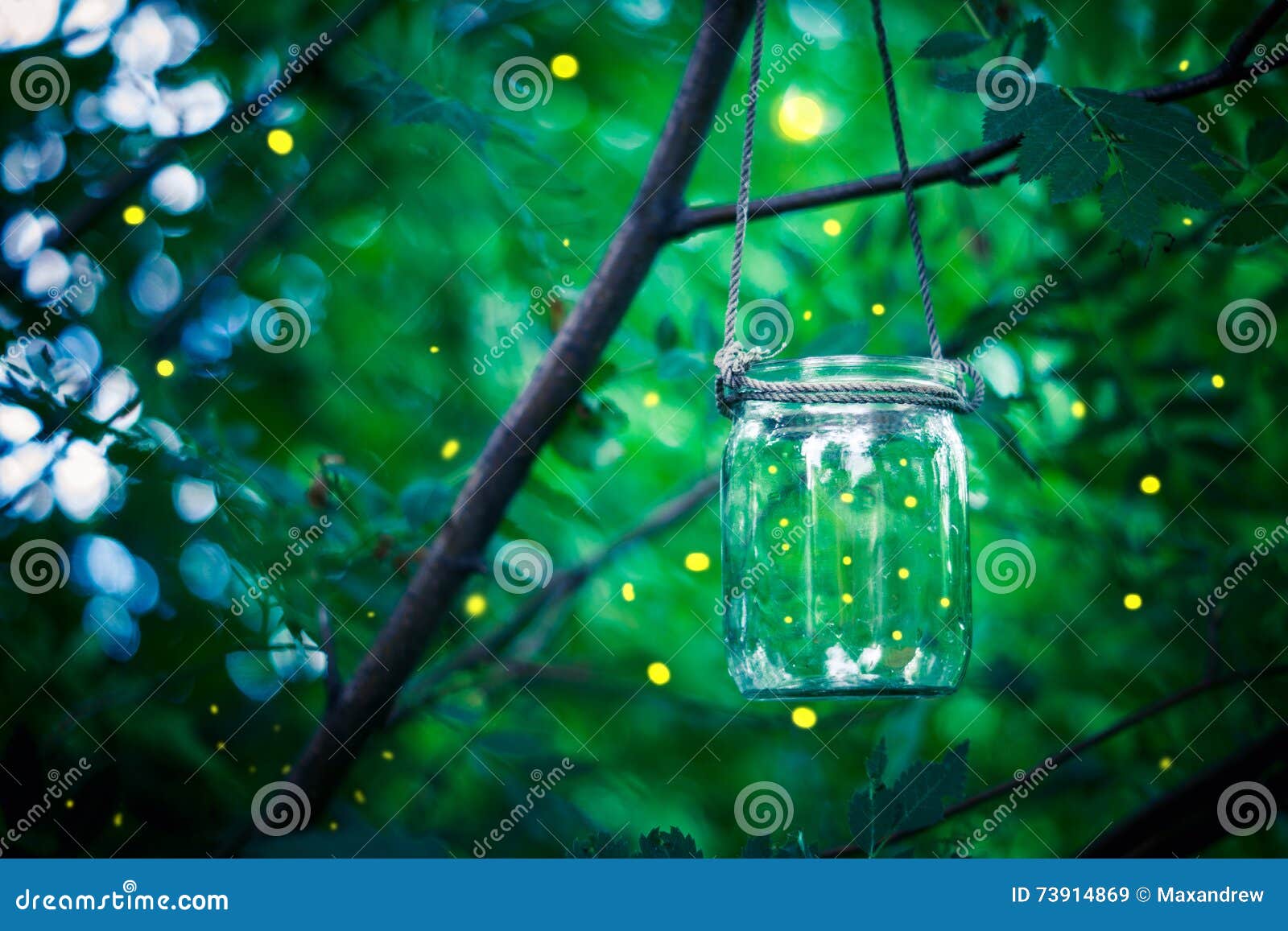 fireflies in a jar