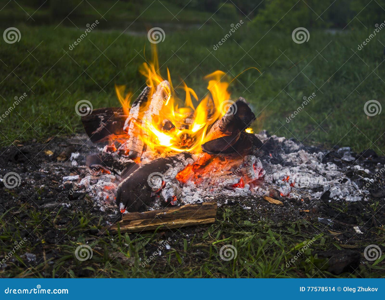 Fireplace in Forest at Dusk Stock Photo - Image of burning, firewood ...