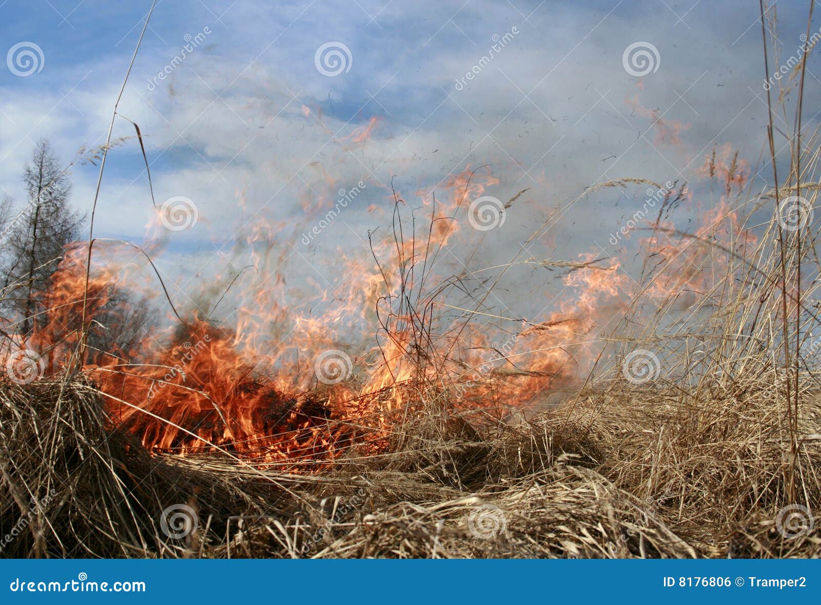 Fires Flare stock photo. Image of flaming, burn, field 8176806
