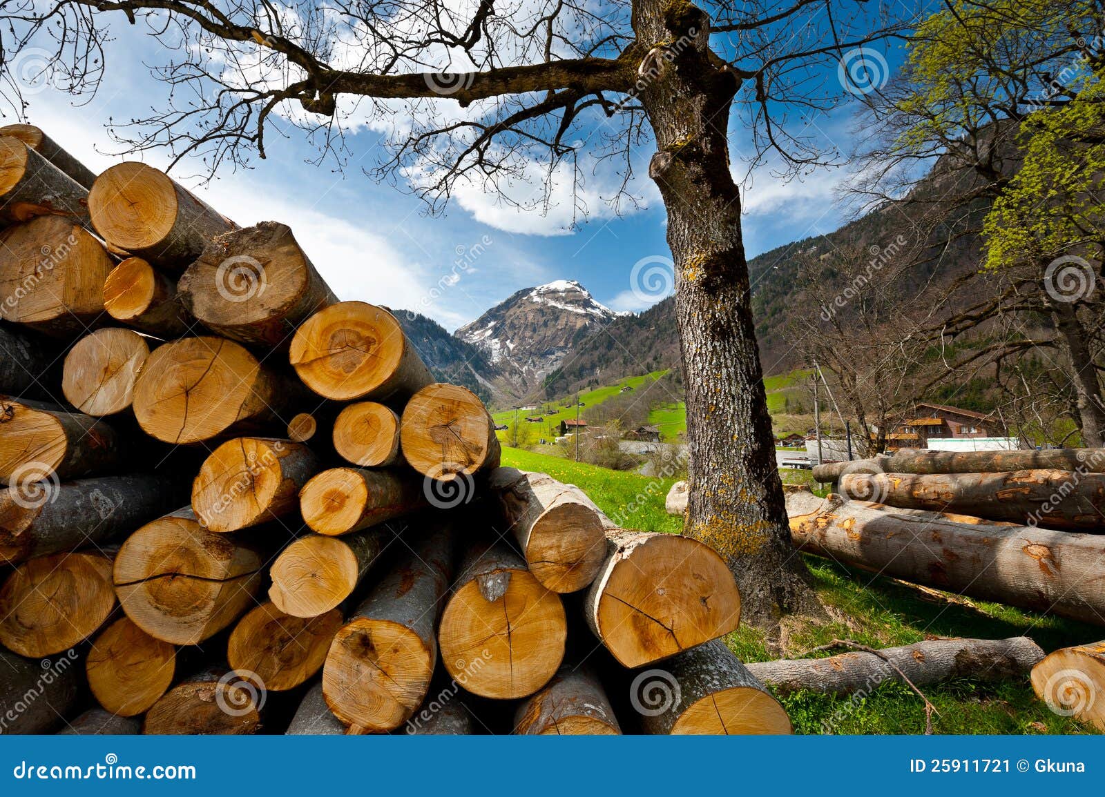 Firewood stock image. Image of meadow, mountains, outdoors 25911721