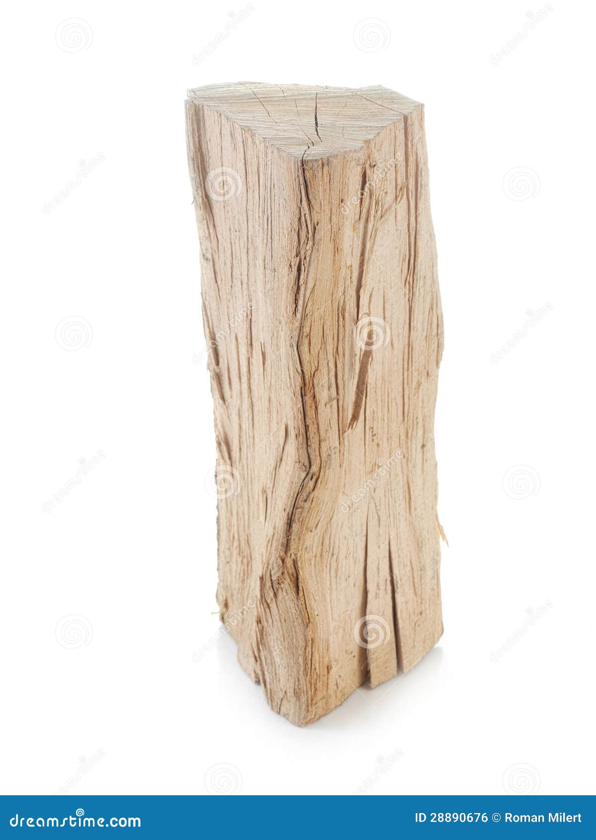 Firewood stock photo. Image of nature, white, beechwood 28890676