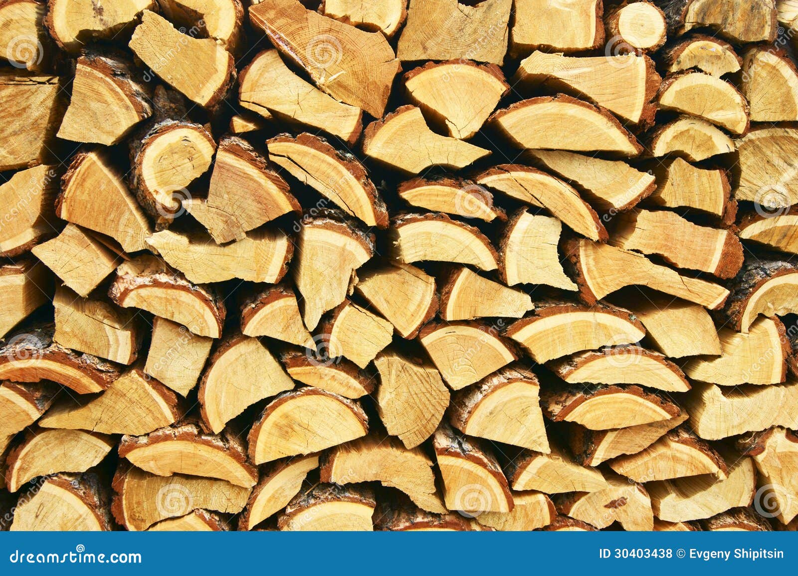 Firewood of the larch stock photo. Image of stocking 30403438