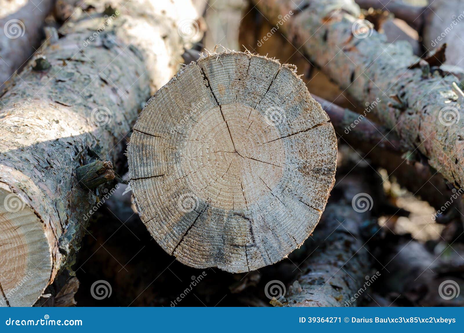 Firewood. Pile of wood for fire in winter.