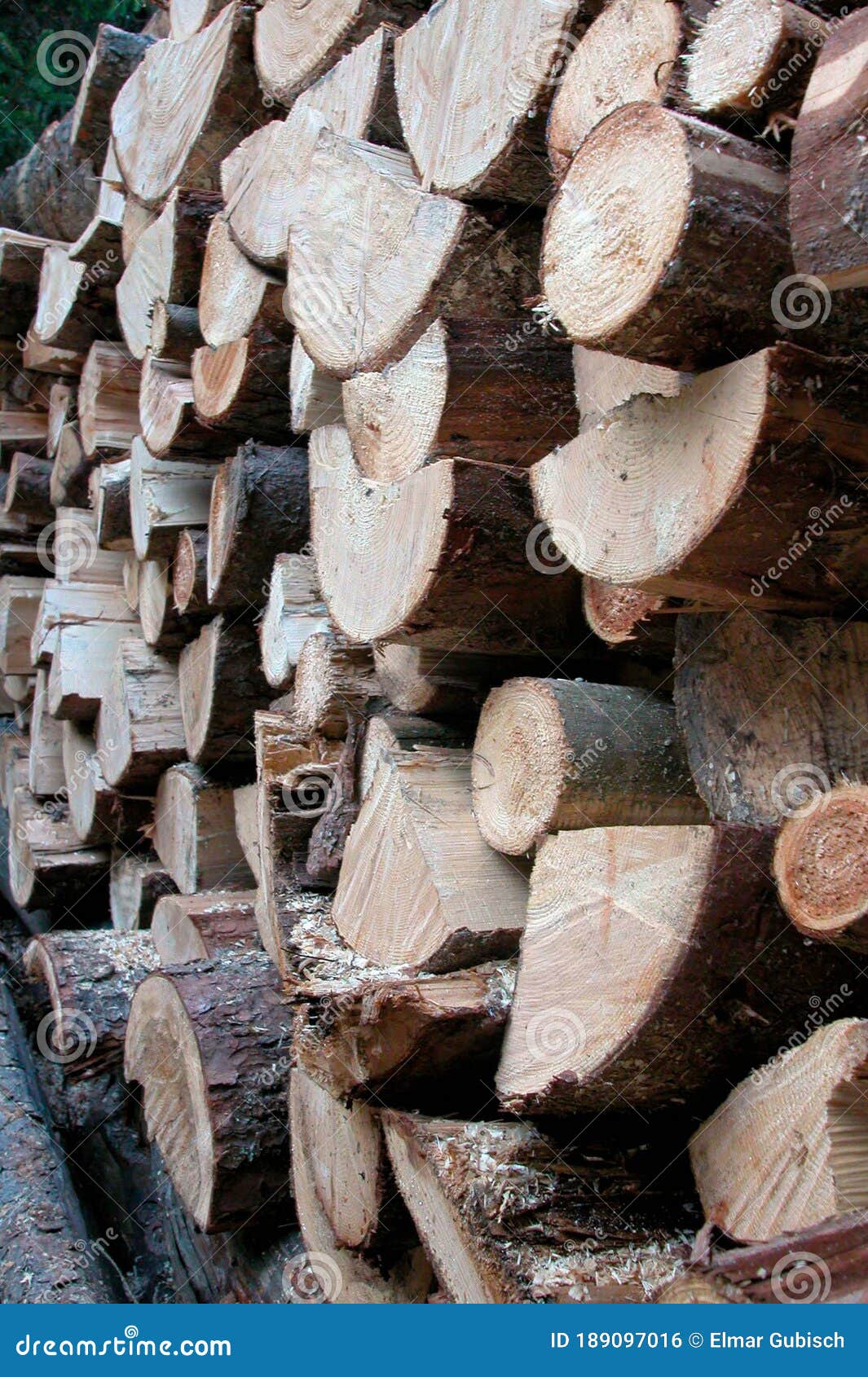 Firewood, a Renewable Energy Resource Stock Photo Image of assessment, energy 189097016